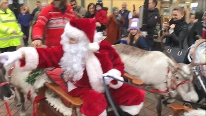 Falkirk Santa and reindeer parade
