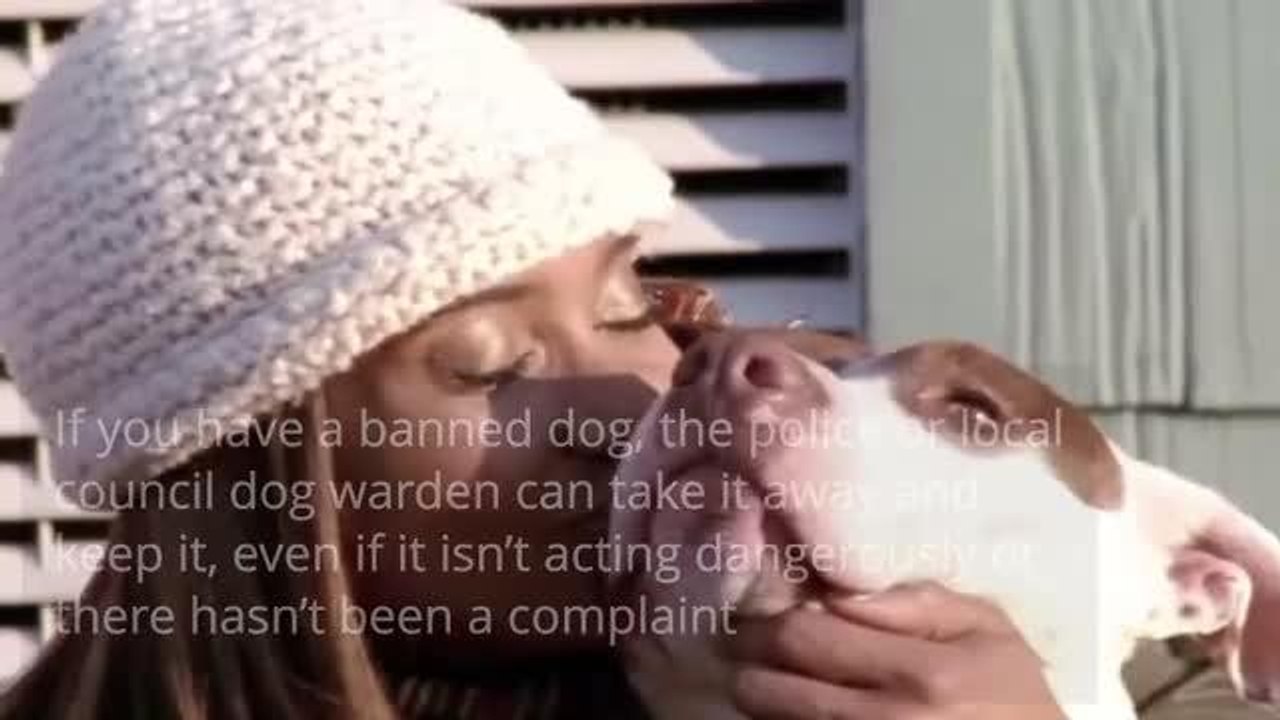VIDEO: Animal cruelty