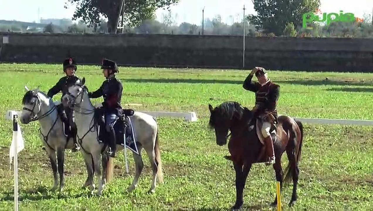 Napoli - La maison Cilento rilancia Carditello e il cavallo di Persano (16.07.19)