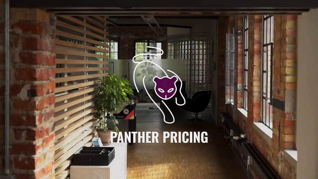 Dynamic Pricing Software Panther Pricing