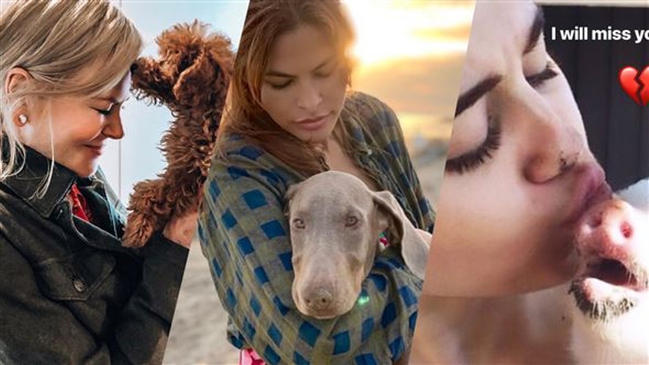 Die Tierliebe der Stars