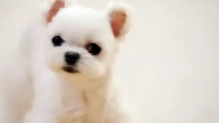 향남출장안마 -후불100%ョØ7ØA7575A0069｛카톡RD654｝ 향남전지역출장안마 향남오피걸 향남출장마사지 향남안마 향남출장마사지 향남콜걸샵ヂッツ