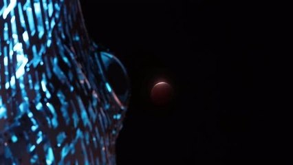 Did you miss the Super Blood Wolf Moon?