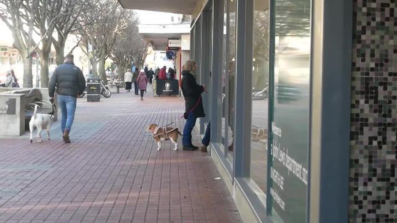 John Lewis