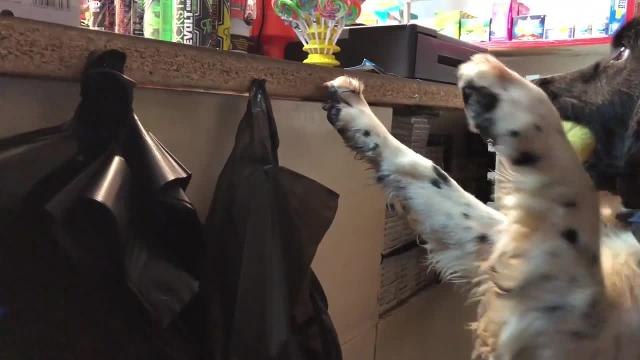 Suspected illegal cigarettes seized