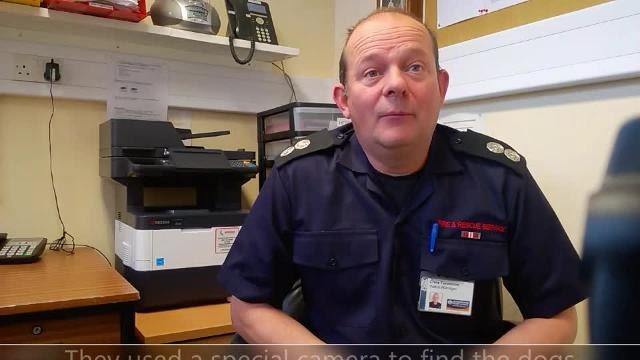 Dog owner thanks firefighters after hole rescue