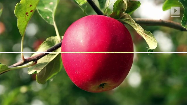 Estudio: las mujeres con cuerpos en forma de pera son más saludables que las mujeres con cuerpos en forma de manzana