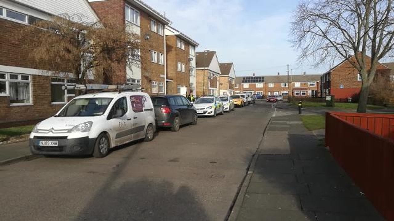 Cannabis farm found at South Shields flat