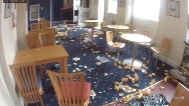 Bodycam footage from inside the trashed brewery