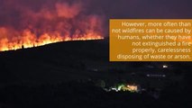 Wildfire explainer