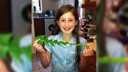 Student Olivia Allen Completed 14 YEARS Straight Attendance!