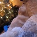 Ce chiot golden retriever ne dort que dans les bras de son ours en peluche. Trop adorable !