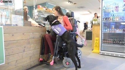 Brighton disabled woman and her assistance dog