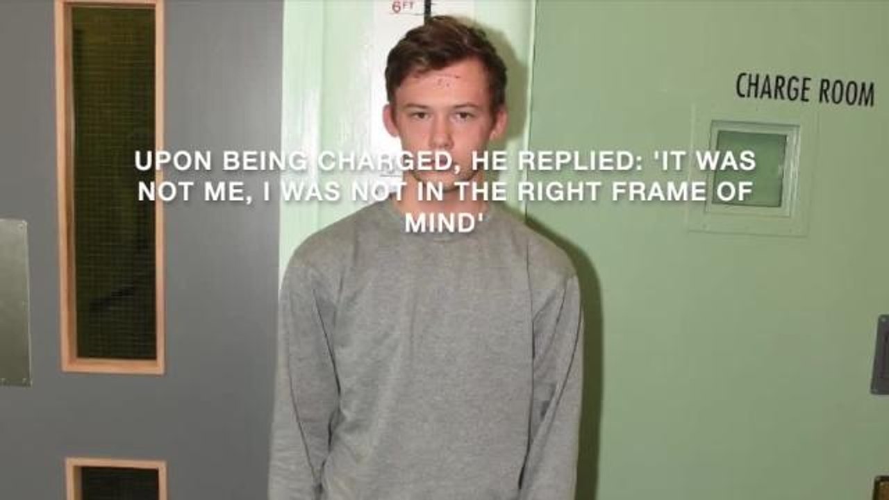 Ethan Mountain case