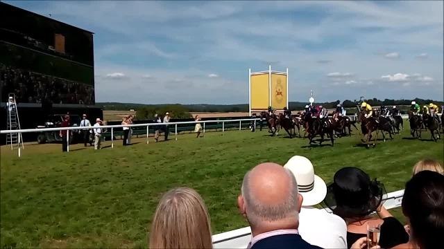 The 2018 Stewards' Cup