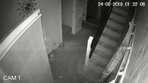 CCTV footage of burglar.