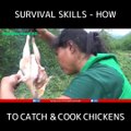 Habilidades de supervivencia - Cómo atrapar y cocinar pollos