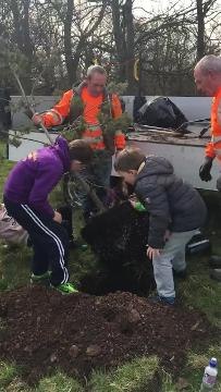 New trees for West Park in South Shields