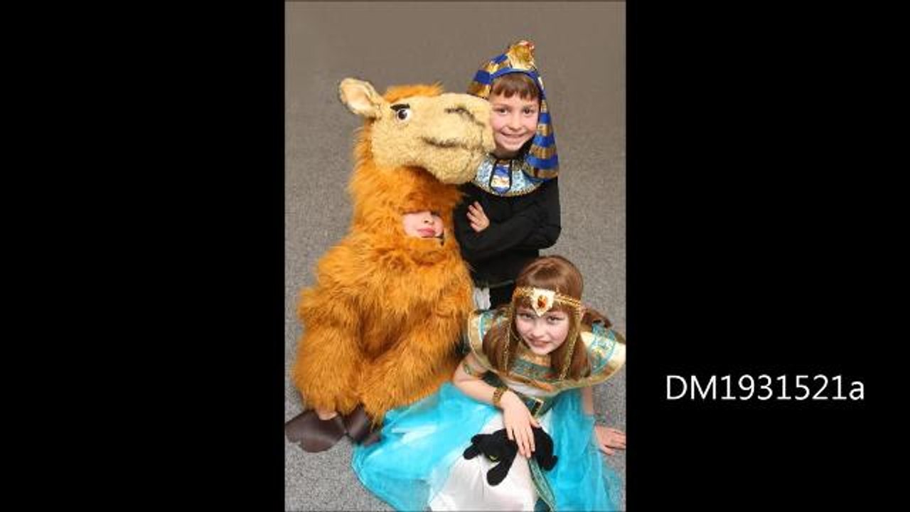 Ancient Egyptians Southwick