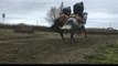 Vintage Clouds Grand National horse training