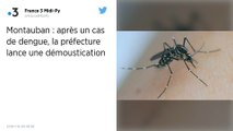 Tarn-et-Garonne : Un cas de dengue diagnostiqué à Montauban, une opération de démoustication lancée