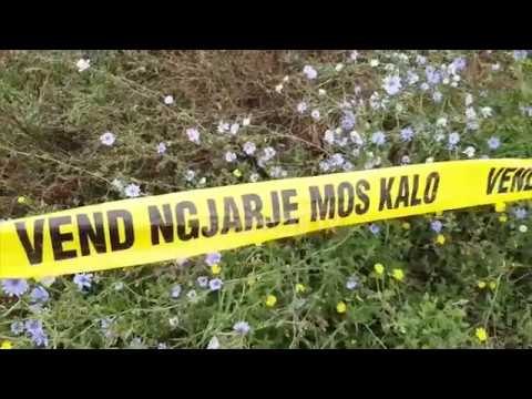 Po ndiqte hajdutët e lopës/ 57-vjeçari humb kontrollin e mjetit dhe vdes në vend, plagoset djali