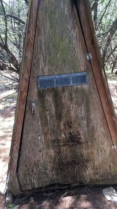 Spiders Overtake the Outhouse