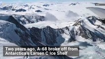 Stunning Timelapse of World’s Largest Iceberg Drifting Away from Ice Shelf