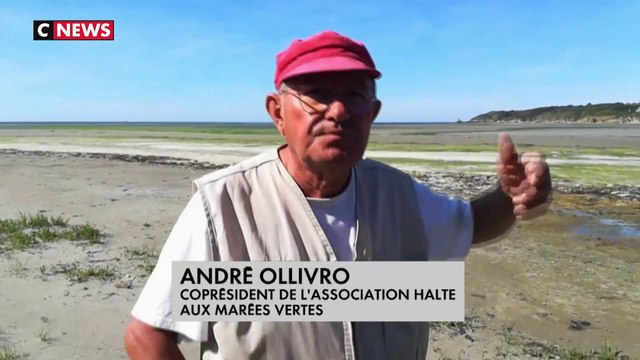 Le combat d’un homme contre les algues toxiques