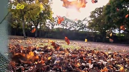 Bath and Body Works Drops Over 30 New Scents for Fall Season!