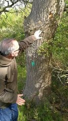 Frank Mahon says why the protesters are at the HS2 site