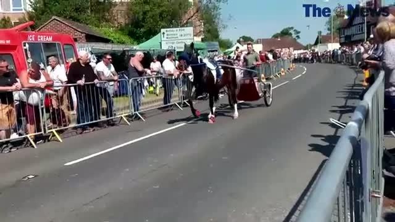 Wickham Horse Fair