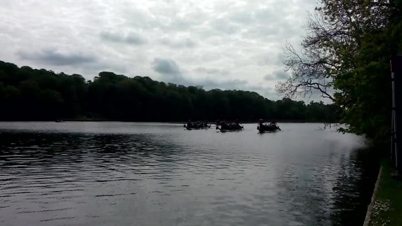 Dragon Boat Race