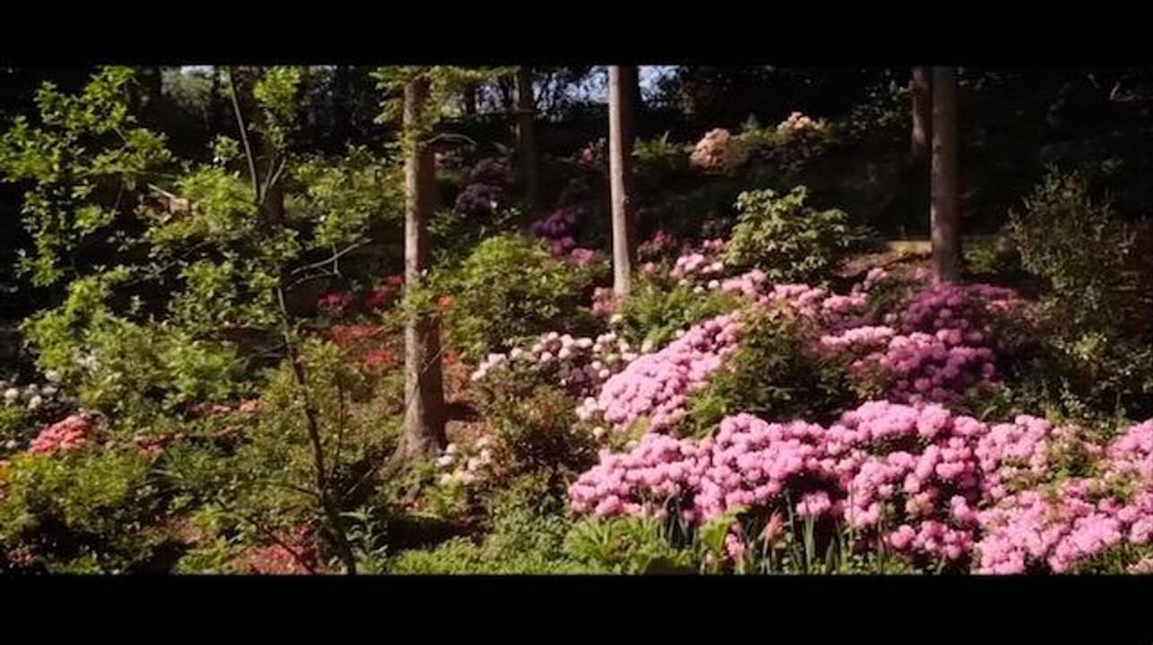 Himalayan Garden and Sculpture Park in full bloom in Yorkshire Dales