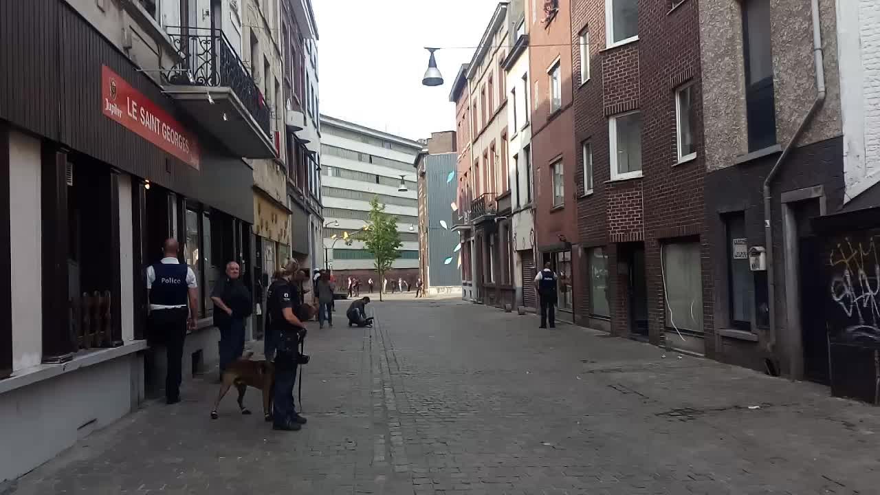Https://www.lanouvellegazette.be/413258/article/2019-07-16/la-police-de-charleroi-en-force-place-rucloux-photos