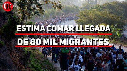 Estima Comar llegada de 80 mil migrantes