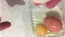 Matruşka yumurta... Yumurtanın içinden yumurta çıktı