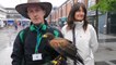 A harris hawk has been brought in to keep seagulls away from the Sunderland Food and Drink Festival with Executive Director of Neighbourhoods Fiona Brown