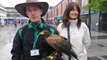 A harris hawk has been brought in to keep seagulls away from the Sunderland Food and Drink Festival with Executive Director of Neighbourhoods Fiona Brown