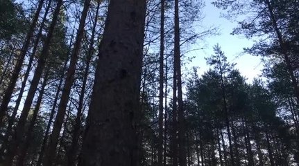 Exercise Iron Wolf in Lithuania