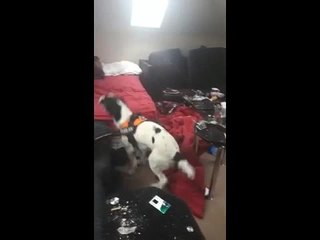 Kettering's drugs warrants