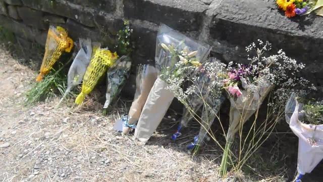 Teenager dies after collision with van in Derbyshire