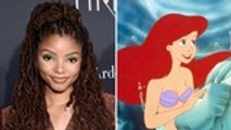 Poll Finds Most Americans Back Casting of Halle Bailey in Disney’s ‘Little Mermaid’ | THR News