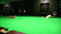 Snooker Lewis Harper