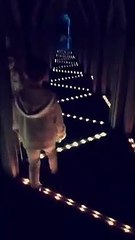 Ce gamin pense avoir trouvé la sortie du labyrinthe de glaces ! Faux...