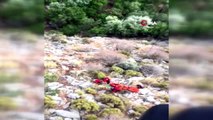 Fethiye'de kayalıklardan düşen ABD'li turist helikopter ile kurtarıldı
