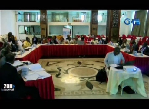 RTG/Atelier de formation en télé médecine des sages femmes à Libreville