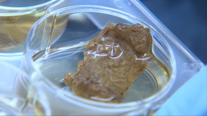 Lab-Grown Steak Is Now Being Developed