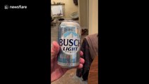 Genius dog gets cold beer from fridge, throws away empty can and is best friend ever