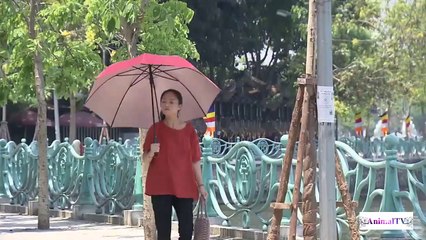 VỀ NHÀ ĐI CON TẬP 67 [PREVIEW] - Vũ ghen tức khi thấy Dũng chăm sóc cho mẹ con Thư